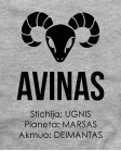 Avinų stichija planeta Akmuo